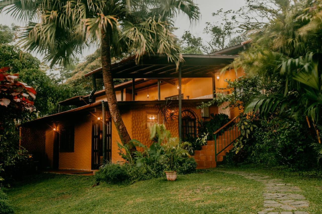 The Golden Frog Inn El Valle de Anton Kültér fotó