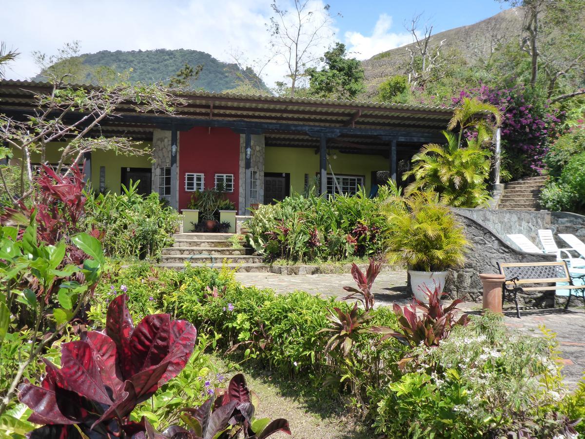 The Golden Frog Inn El Valle de Anton Kültér fotó
